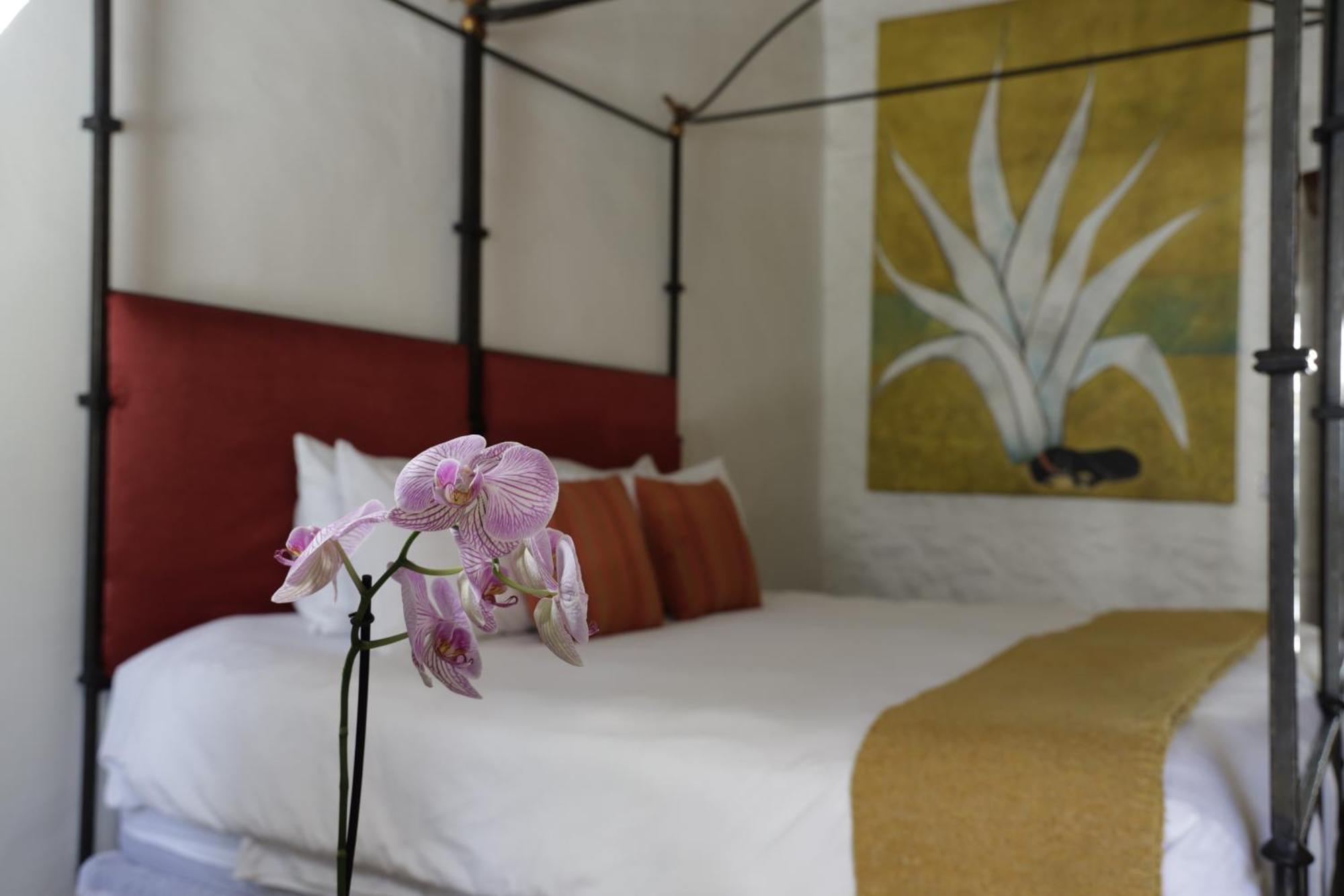 Orchid House San Miguel De Allende Exterior foto