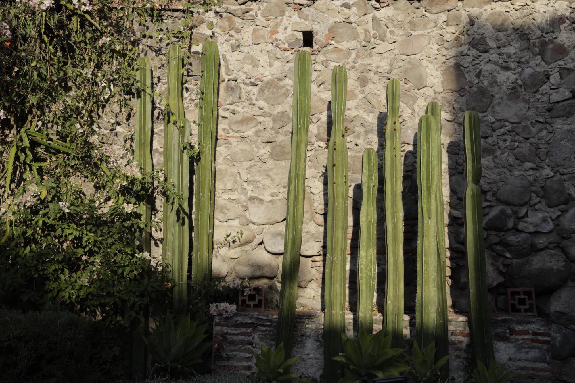 Orchid House San Miguel De Allende Exterior foto