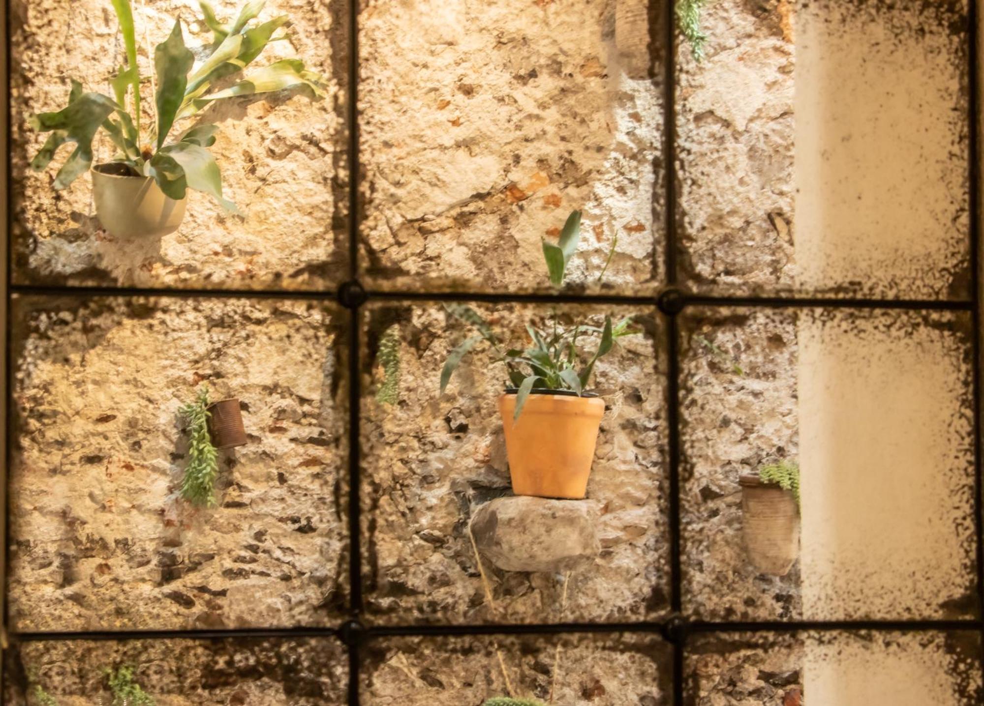 Orchid House San Miguel De Allende Exterior foto